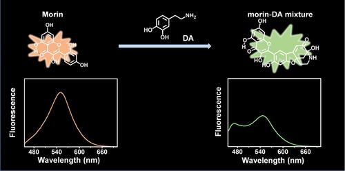 Morin-enabled ratiometric dopamine detection by forming azamonardine product