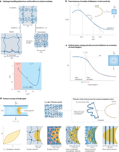 Design principles for strong and tough hydrogels