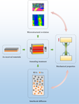 A Study on the Microstructural Evolution, Interfacial Diffusion and Mechanical Properties of Ultra-thin Stainless Steel–Copper Composites Fabricated by Roll Bonding