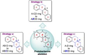 Recent advances in total synthesis of protoberberine and chiral tetrahydroberberine alkaloids.