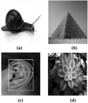 Design and Development of Self-Complementary DNA Structure-based Frequency Reconfigurable Antenna