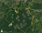 The Mantled Howler Monkey (Alouatta palliata) Population at La Selva Research Station, Costa Rica: Comparing Censuses in 1992 and 2022