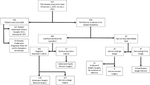 When to lavage in the absence of a sonographically visible joint effusion in painful total knee arthroplasty: a retrospective longitudinal study.