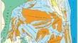 The Lithological and Paleogeographic Features of the Formation of the Lower Miocene of the Northeastern Shelf of Sakhalin Island