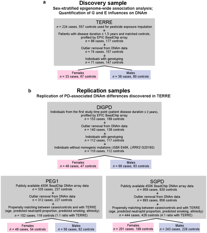 Genetic variation and pesticide exposure influence blood DNA methylation signatures in females with early-stage Parkinson's disease.