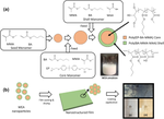 Tuning the mechanical properties of epoxy-acrylate core–shell nanostructured film via epoxy concentration in the core layer