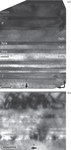 The Features of the Layers Growth in Stressed InAs/GaSb Superlattices