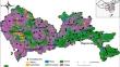 Eco-morphological traits inform responses of diatom assemblages to urbanization in rivers in China