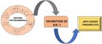 Role of natural secondary metabolites as HIF-1 inhibitors in cancer therapy