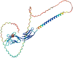 Search for Potential Epitopes in the Envelope Protein of the African Swine Fever Virus