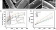 Durable Antimicrobial Cotton Fabrics Prepared by Oxygen Plasma Treatment and Adsorption of Guanidine Salts