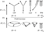 Anisotropy Stabilized Magnetic Phases of the Triangular Antiferromagnet RbFe(MoO4)2