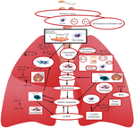 Expression Profile and Relationships between microRNAs as Biomarkers in COPD Patients