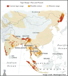 A Reality Check of the Global TX2 Goals of Doubling the Bengal Tiger (Panthera tigris tigris) Population by 2022 in the Sundarbans Mangrove Forest