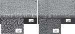 Effect of Nitrogen Plasma Treatment on the Structural and Optical Properties of InGaN