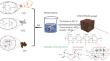 Graphene Oxide Enhanced Nanocellulose/Chitosan Biodegradable Aerogel Pad for Fresh Pork Preservation