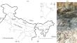 The First Fossil Record of Coryphoid Palm from Siwalik Strata (Middle Miocene) of Darjeeling Foothills of Eastern Himalaya