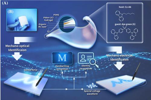 An ultra thin, bright, and sensitive interactive tactile display based on organic mechanoluminescence for dual-mode handwriting identification