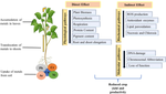 Emerging role of osmoprotectant glycine betaine to mitigate heavy metals toxicity in plants: a systematic review.