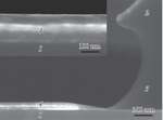 Forming Regimes of Pd/Ge/Au Contact System to n-GaAs Influence on Its Electric Parameters