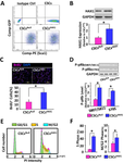 HAX1-Overexpression Augments Cardioprotective Efficacy of Stem Cell-Based Therapy Through Mediating Hippo-Yap Signaling.