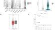 Loss of AR-regulated AFF3 contributes to prostate cancer progression and reduces ferroptosis sensitivity by downregulating ACSL4 based on single-cell sequencing analysis