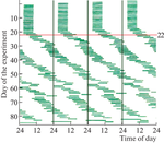 On the Illusion of Flying in Dreams: The Mechanism of its Occurrence