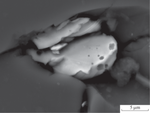 Native Cobalt in Deep Levels of the Kola Superdeep Borehole