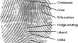 Digital fingerprint indexing using synthetic binary indexes