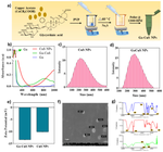 Glycyrrhizin functionalized CuS Nanoprobes for NIR Light-based therapeutic mitigation of acne vulgaris.