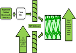 Regenerated Cellulosic Fibres Blended with Cotton to Enhance the Performance and Comfort Properties of Single Jersey Spandex Knitted Fabrics: A Sustainable Approach