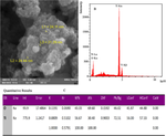 Electrochemical Sensor of Human Serum Albumin Bio-analyte Prepared Utilizing a Thin Film of Polydopamine/TiO2 Nanoparticles: Experimental and Docking Theoretical Investigations