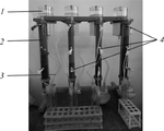 Mass Transfer in Upward Percolation of Water Solutions in Tailings