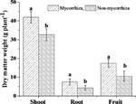 Mycorrhizal fungi increase plant nutrient uptake, aggregate stability and microbial biomass in the clay soil