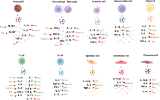 Pro- and anti-inflammatory cytokines are the game-changers in childhood obesity-associated metabolic disorders (diabetes and non-alcoholic fatty liver diseases).