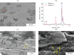 Adhesion/Decohesion Processes on the Surface of Palladium Membranes