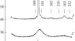 Structural Features of Poly(p-Xylylene)−Cadmium Sulfide Nanocomposite Films