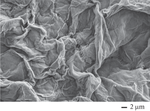 Size Distribution of Nanocrystalline Elements of the Polyethylene Structure