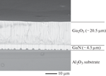 Growth of Thick ε(κ)-Ga2O3 Films by Halide Vapor Phase Epitaxy