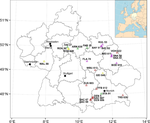 Structural diversity and carbon stock of forest stands: tradeoff as modified by silvicultural thinning