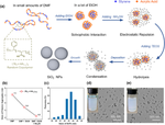 Scalable synthesis of ultrasmall hybrid silica colloidal particles through balanced solvophobic interaction and electrostatic repulsion