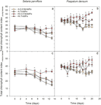 Iron excess and nitrogen deprivation influence photosynthetic metabolism in grasses used for mineland rehabilitation