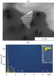 Determination of Polyorganosiloxanes (by Silicon) in Water by Extraction High-Resolution Continuum Source Electrothermal Atomic Absorption Spectrometry