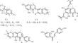 Compounds from the Leaves and Stems of Erythrina crista-galli