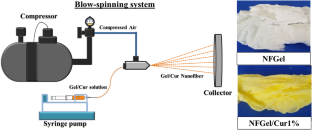 Blow Spinning Technique for Antioxidant Biocuratives from Gelatin–Curcumin-Based Nanofibers