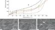 In Situ Study of the Influence of Degradation of Different Types of Polymer Matriсes on Their Mechanical Properties inside Sem