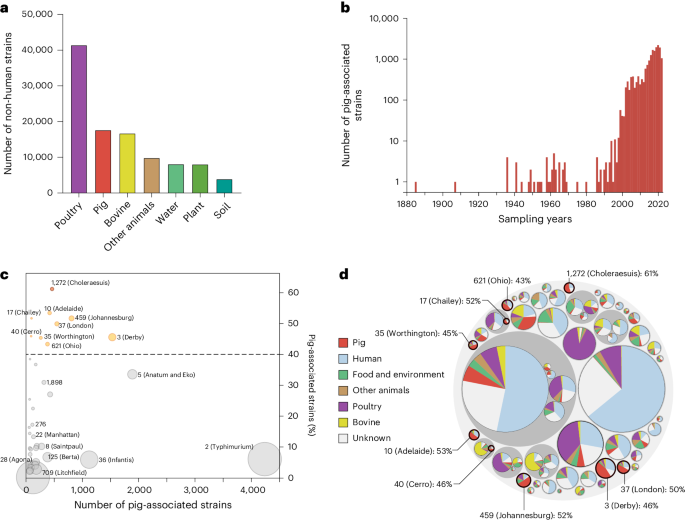 Centralized industrialization of pork in Europe and America contributes to the global spread of Salmonella enterica