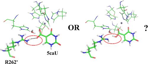 Decarboxylation Mechanism of iso-Orotate Decarboxylase Revisited