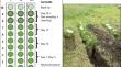 Fates of slurry-nitrogen applied to mountain grasslands: the importance of dinitrogen emissions versus plant N uptake