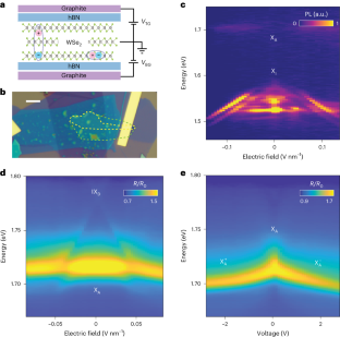 Giant optical nonlinearity of Fermi polarons in atomically thin semiconductors